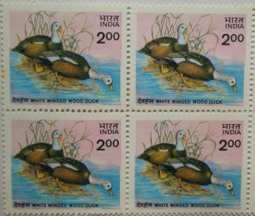 White Winged Wood Duck. Wood Duck, Bird, Asarcornis scutulata Rs. 2 (Block of 4 stamp)