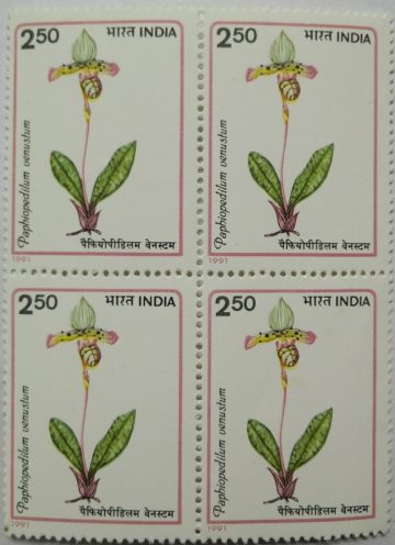 Orchids of India Orchid, Flowering Plant, Paphiopedilum venustum (Block of 4 stamp)