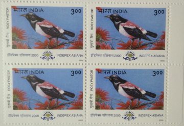 Roy Pastor Migratory Birds Thematic Indepex Asiana 2000 Rs.3(Block of 4 stamp)