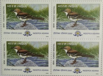 Forest Wagtail Migratory Birds Thematic Indepex Asiana 2000 Rs.3(Block of 4 stamp)