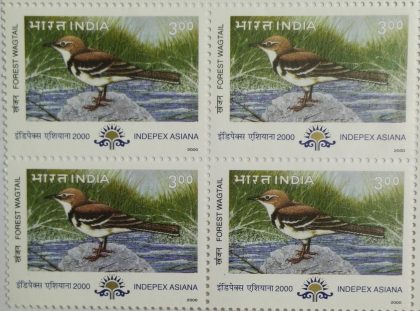 Forest Wagtail Migratory Birds Thematic Indepex Asiana 2000 Rs.3(Block of 4 stamp) | Indian Postage Stamps | Indian Coins | Old Indian Currency | Rare Indian Coins | Numismatic Collection India