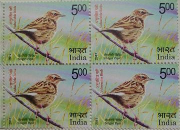 Vulnerable Birds. Nilgiri pipit (Block of 4 stamp)