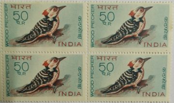Indian Birds - Woodpecker. Bird, Brown-Fronted Pied Woodpecker, Dendrocopos auriceps, 50 P.(Hinged Block of 4)