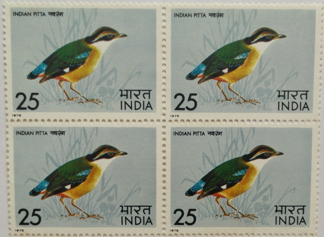 Indian Pitta. Bird, Indian Pitta, Pitta Brachyura, Passerine, 25 P. (Hinged Block of 4)