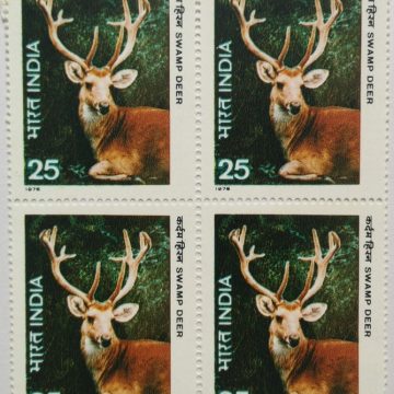 Wild Life - Swamp Deer. Wild Life, Swamp Deer, Barasingha, Rucervus duvaucelii, Cervus duvaucelii, 25 P. (Block of 4 stamp)