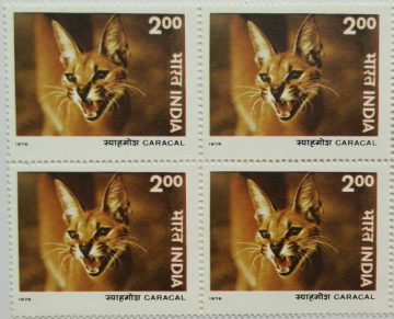 Wild Life - Caracal. Wild Life, Caracal, Desert Lynx, Wild Cat, Caracal melanotis, Rs. 2 (Block of 4 stamp)