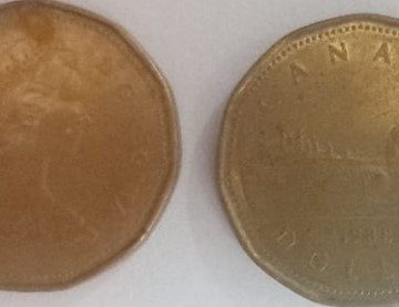 1 DOLLAR CANADA 1988 Elizabeth II D.G Regina (used)