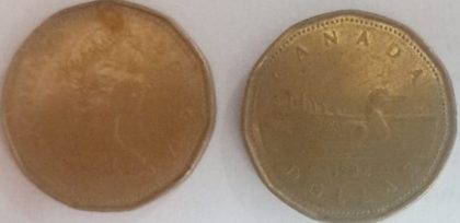 1 DOLLAR CANADA 1988 Elizabeth II D.G Regina (used) | Indian Postage Stamps | Indian Coins | Old Indian Currency | Rare Indian Coins | Numismatic Collection India