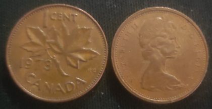 1 Cent Canada 1973 Elizabeth II D.G Regina (used) | Indian Postage Stamps | Indian Coins | Old Indian Currency | Rare Indian Coins | Numismatic Collection India