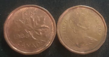 1 Cent Canada 1988 Elizabeth II D.G Regina (used)