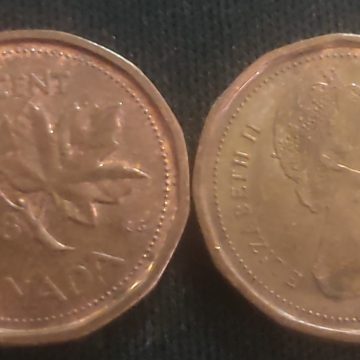 1 Cent Canada 1988 Elizabeth II D.G Regina (used)