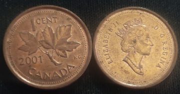 1 Cent Canada 2001 Elizabeth II D.G Regina (used)