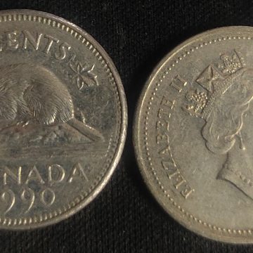 5 Cents Canada 1990 Elizabeth II D.G Regina