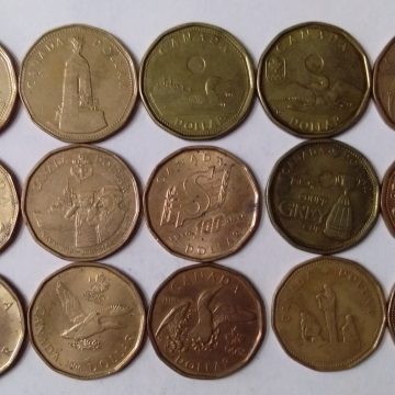 CANADA-DOLLAR(Set of 15 coins) (used)