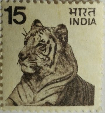 5th Series Tiger-15 (Df)