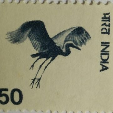 5th Series Gliding Bird -50(Df)