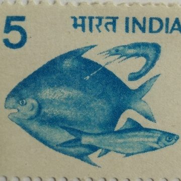 6th Series Pisciculture (photo) -5(Df)