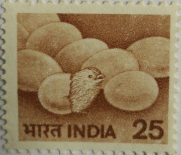 6th Series Poulty -25(Df)