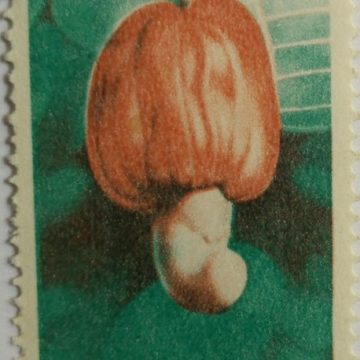 6th Series Cashew -Rs.2.25(Df)