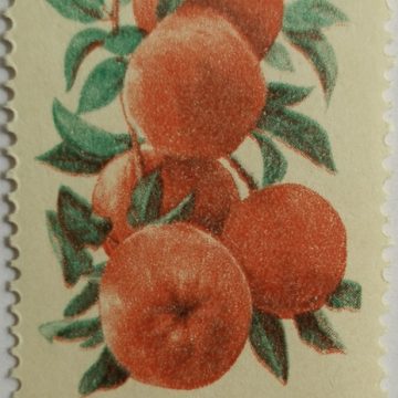 6th Series Apples -Rs.2.80(Df)