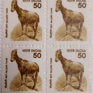 9th Series Nilgiri Tahr -50(Df-Block of 4)