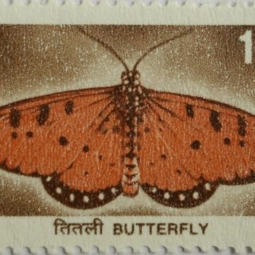 9th Series Butterfl-Rs.15 (Df)