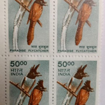9th Series Paradise Flycatcher -Rs.50(Df-Block of 4)