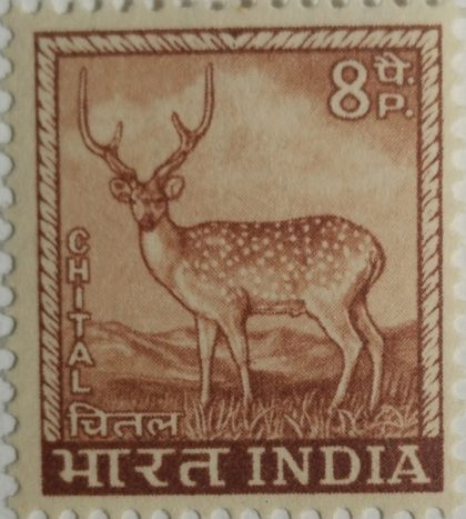 4th Series Chittal (Spotted Deer) -8p(Df) | Indian Postage Stamps | Indian Coins | Old Indian Currency | Rare Indian Coins | Numismatic Collection India