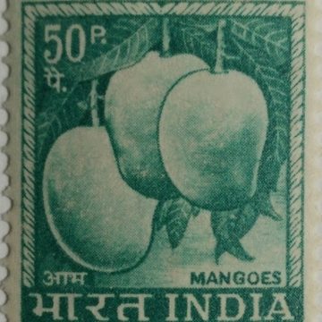 4th Series Mangoes -50p (Df)