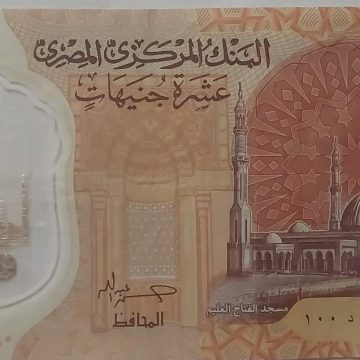 Egypt Currency 10 Pounds  (UNC)