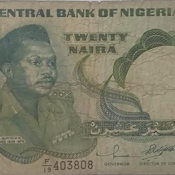 Nigeria Currency 20 Niara2001 (used)