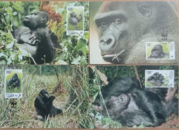 World Wide Fund For Nature Grauer' S Gorilla Set of 4 (Maxim Card)