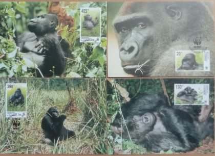 World Wide Fund For Nature Grauer' S Gorilla Set of 4 (Maxim Card) | Indian Postage Stamps | Indian Coins | Old Indian Currency | Rare Indian Coins | Numismatic Collection India