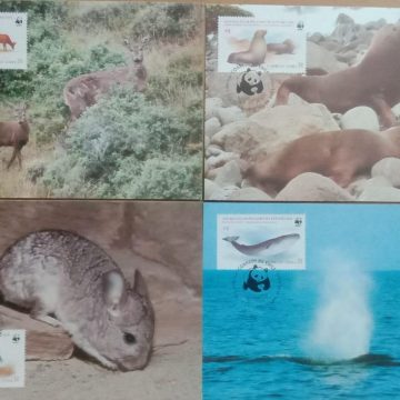 World Wide Fund For Nature The Blue Whale Set of 4 (Maxim Card)