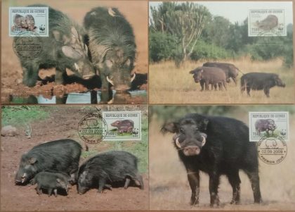 World Wide Fund For Nature Giant Forest Hog Set of 4 (Maxim Card) | Indian Postage Stamps | Indian Coins | Old Indian Currency | Rare Indian Coins | Numismatic Collection India