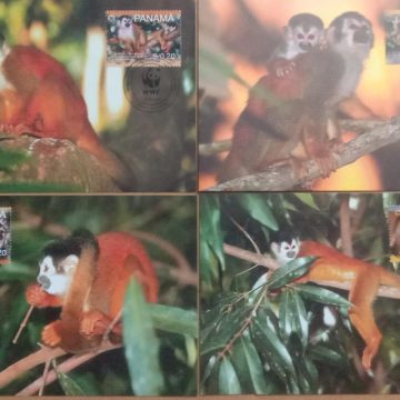 World Wide Fund For Nature Red - Backed Squirrel Monkey Set of 4 (Maxim Card)
