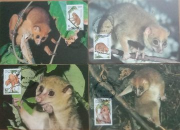 World Wide Fund For Nature Golden Potto Set of 4 (Maxim Card)