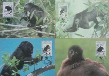 World Wide Fund For Nature Blacck Howler Monkey Set of 4 (Maxim Card)