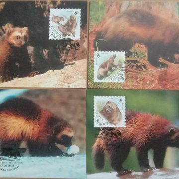 World Wide Fund For Nature  Wolverine Set of 4 (Maxim Card)