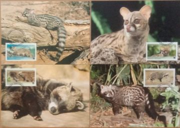World Wide Fund For Nature African Civet Set of 4 (Maxim Card)