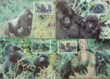 World Wide Fund For Nature Mountain Gorilla Set of 4 (Maxim Card)