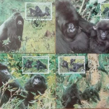 World Wide Fund For Nature Mountain Gorilla  Set of 4 (Maxim Card)
