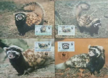 World Wide Fund For Nature Marbled Polecat Set of 4 (Maxim Card) | Indian Postage Stamps | Indian Coins | Old Indian Currency | Rare Indian Coins | Numismatic Collection India