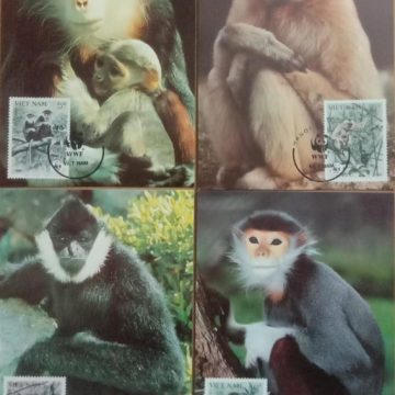 World Wide Fund For Nature  Viet Nam -Douc Monkeys Set of 4 (Maxim Card)
