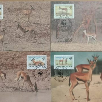 World Wide Fund For Nature Red -Fronted Gazelle  Set of 4 (Maxim Card)
