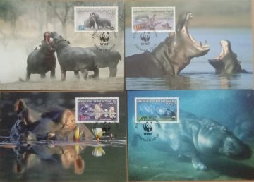 World Wide Fund For Nature Common Hippopotamus Set of 4 (Maxim Card)