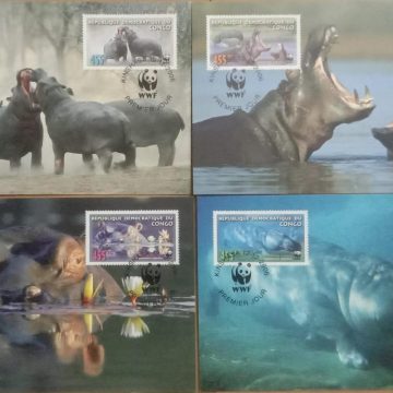 World Wide Fund For Nature Common Hippopotamus Set of 4 (Maxim Card)