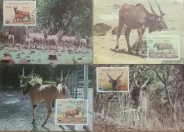 World Wide Fund For Nature Giant Eland Set of 4 (Maxim Card)