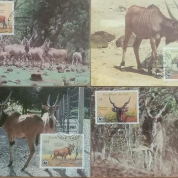 World Wide Fund For Nature Giant Eland  Set of 4 (Maxim Card)