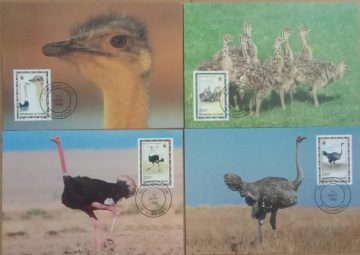 World Wide Fund For Nature Ostrich Set of 4 (Maxim Card)